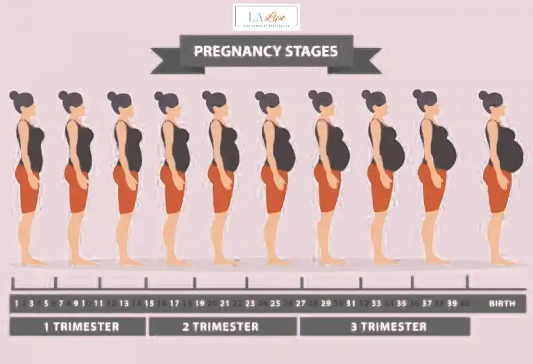 First Trimester (Weeks 1–12): Early Changes You Might Not Notice Congleton